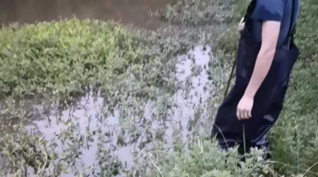 一网打尽